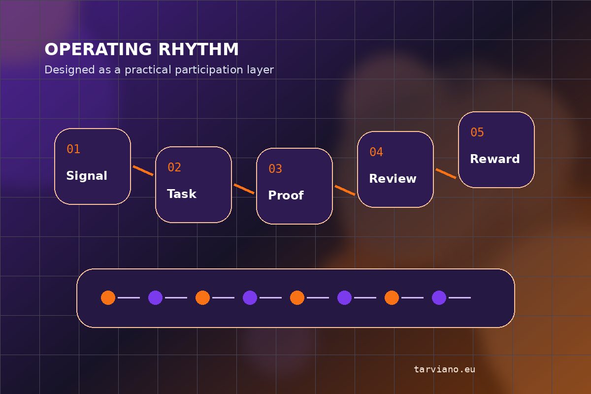 Process journey concept for Tarviano Flow Lab